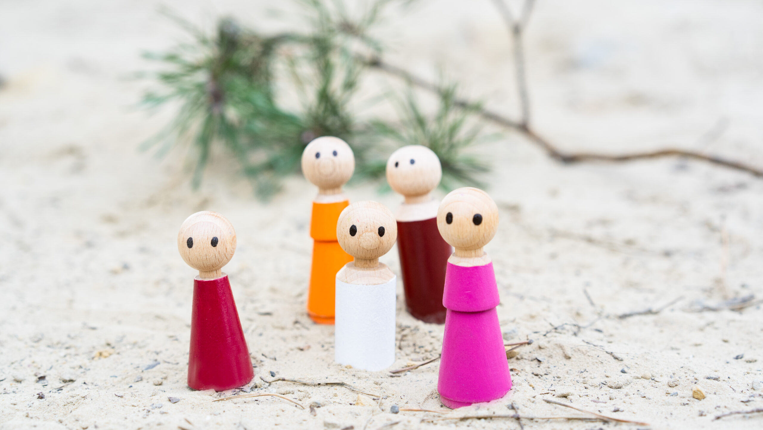 systemische coaching met houten poppetjes Lisette Sillessen